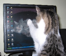 Lily, let me in!
