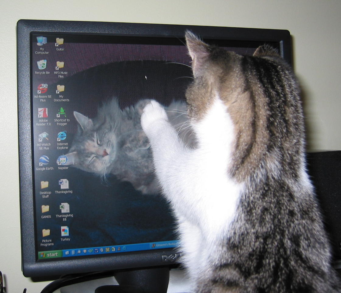 Lily, let me in!