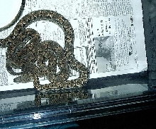 my pair of dums