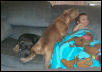 I want on the couch too!