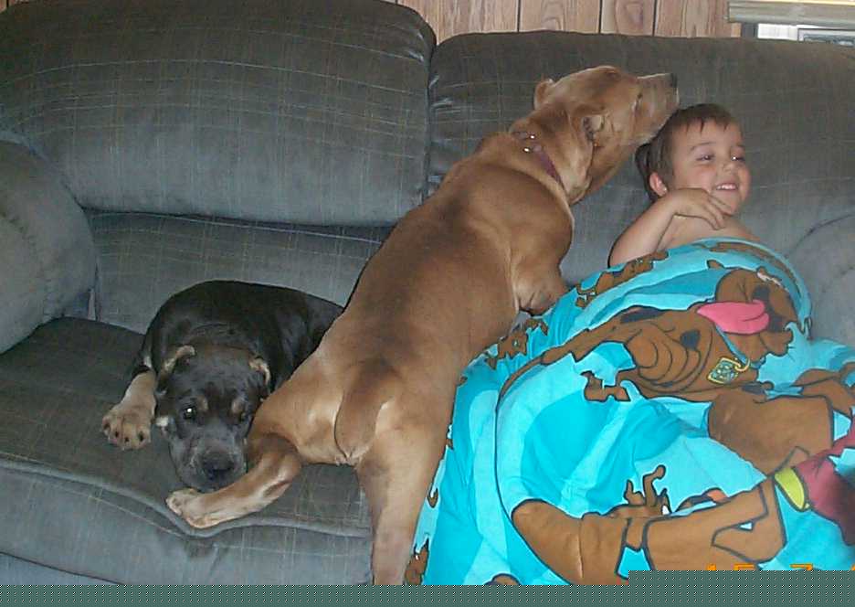I want on the couch too!
