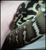 Post Shed