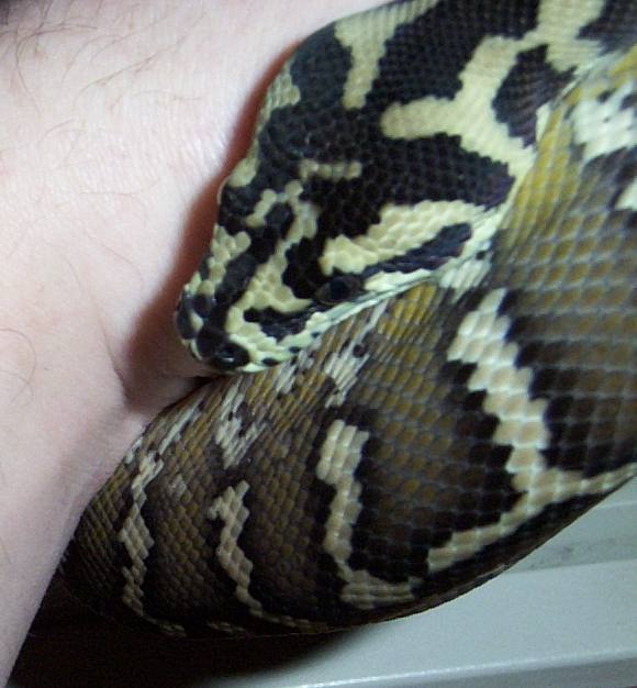 Post Shed