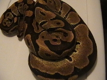 reduced pattern
