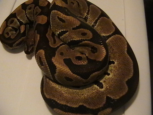 reduced pattern