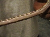 yellow belly 1
