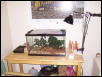 cage setup