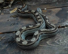 05 Male Motley