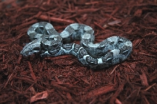 Snow litter