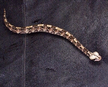 Bitis gabonica