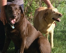 Beardog and Jessie