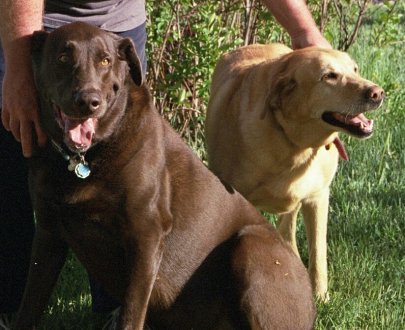 Beardog and Jessie
