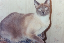 Gus
