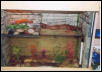 aquarium setup