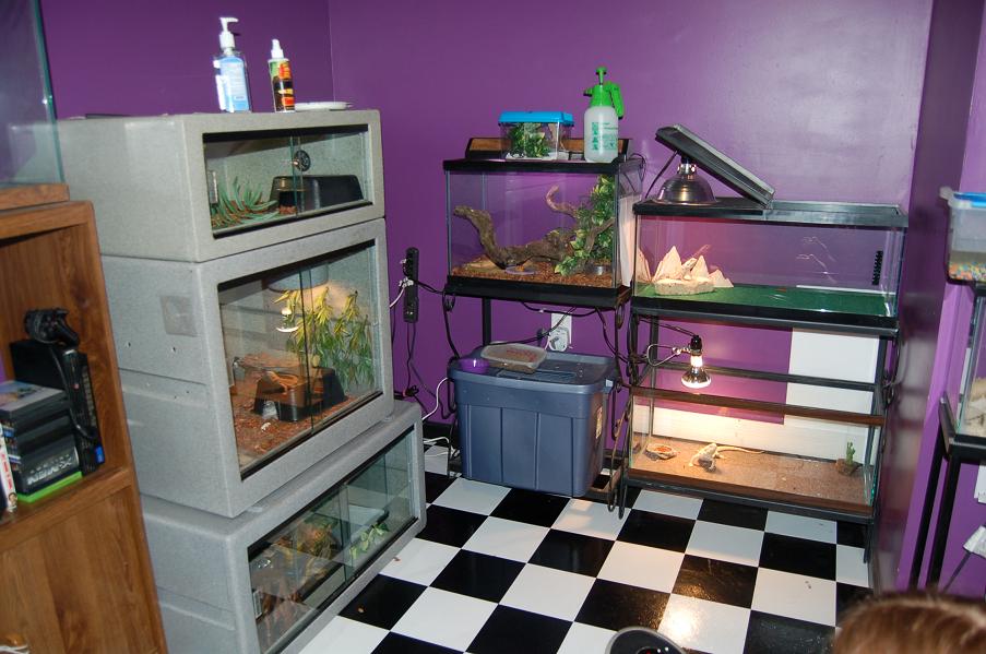 Some of the tanks