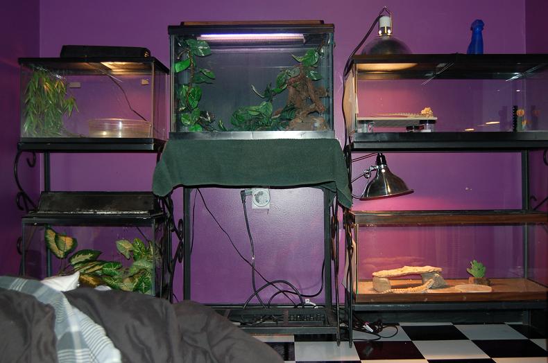 Some of our tanks