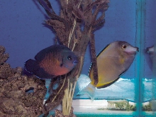 Saltwater Photos