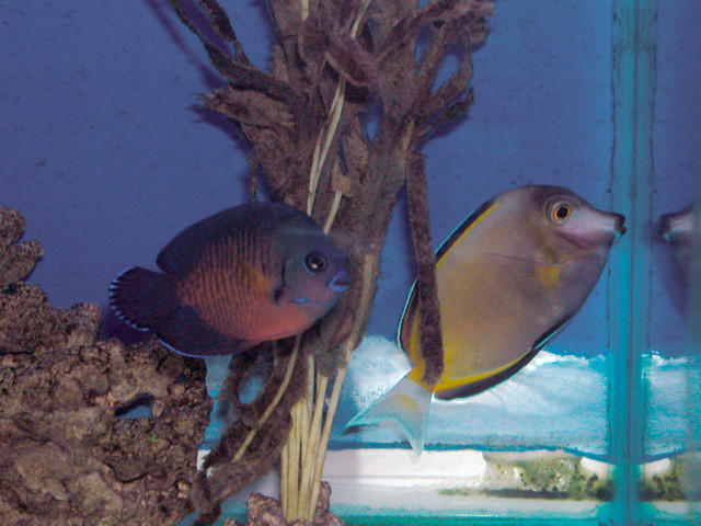 Saltwater Photos