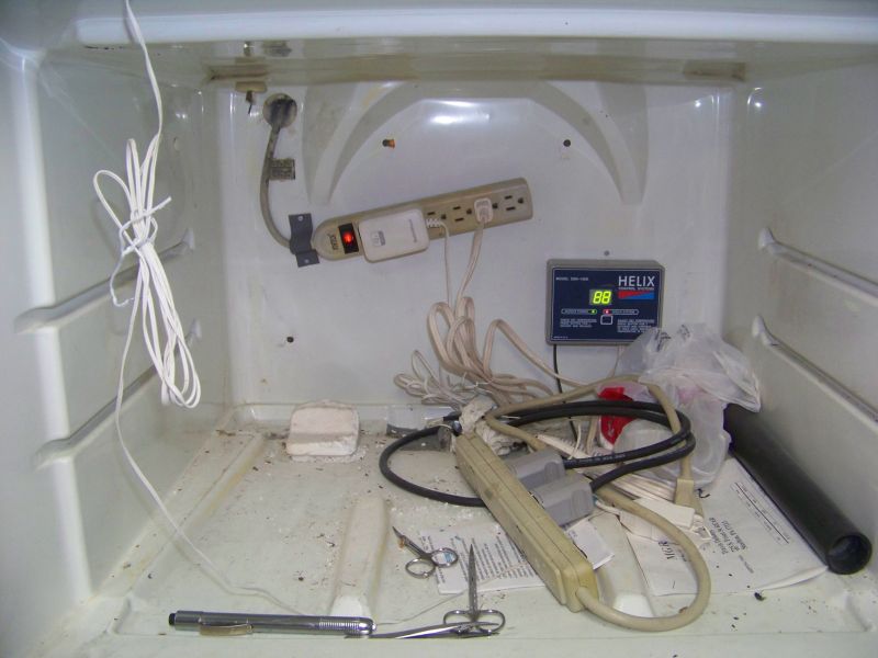 Incubator 1