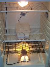 incubator 3