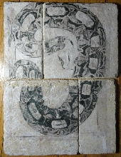 Bitis gabonica mosaic