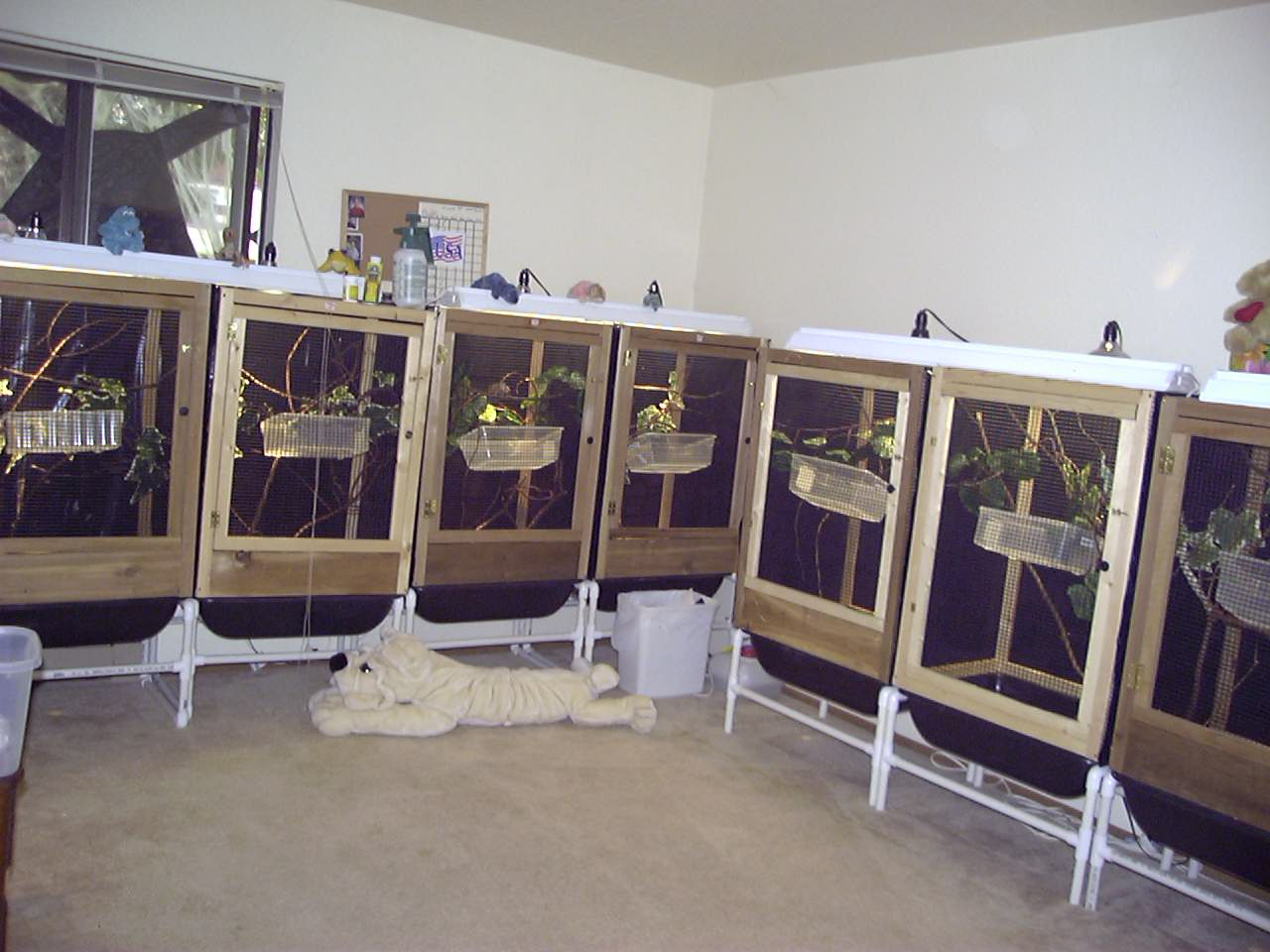 Cages
