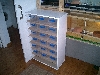 terrario elaphe3