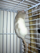 What's that???