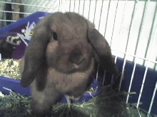 What you lookin at?