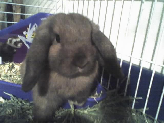 What you lookin at?