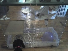 Side View of Cage