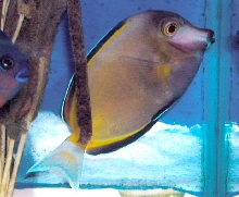 Saltwater Photos