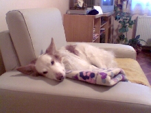 My beloved Jeckie