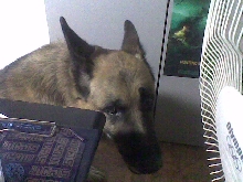 Atos 2008-2010