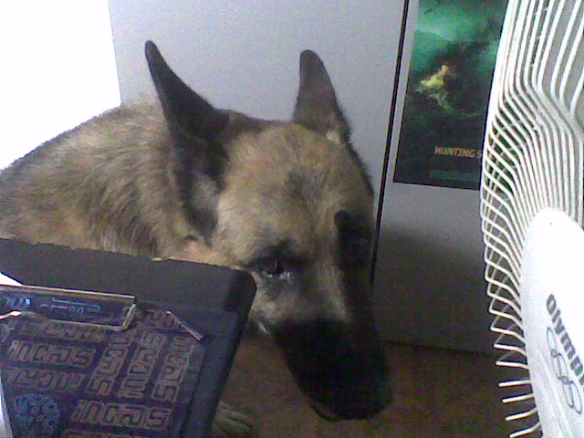 Atos 2008-2010