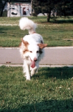 Jeckie - run