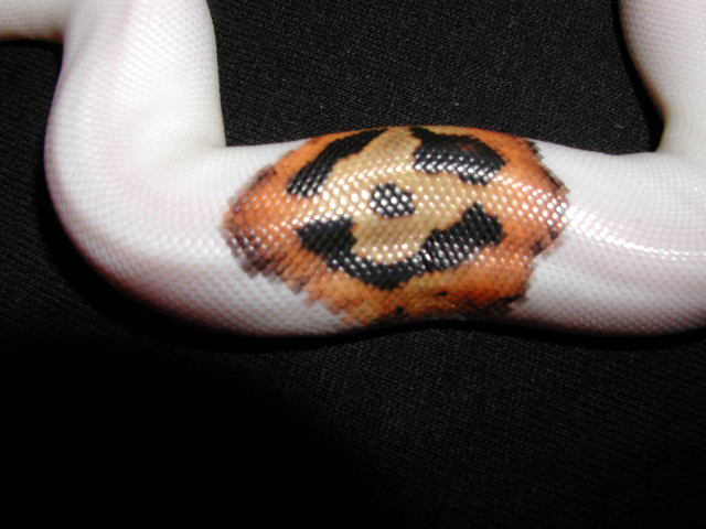 HappyFace3