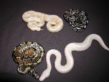 Group shot 35
