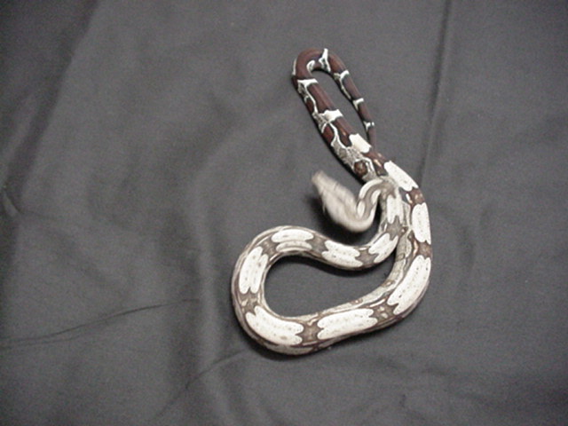 gbs4tm450
