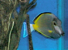 Saltwater Photos