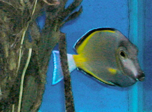 Saltwater Photos