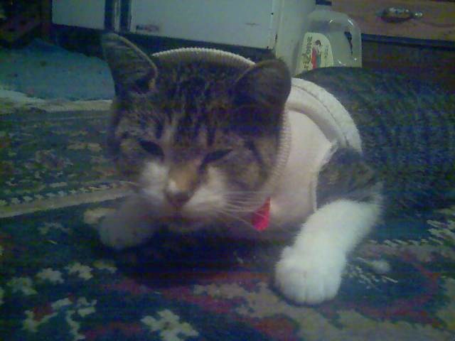 tonks sweater