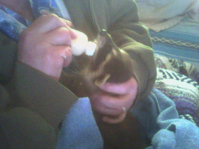 babewhee milk