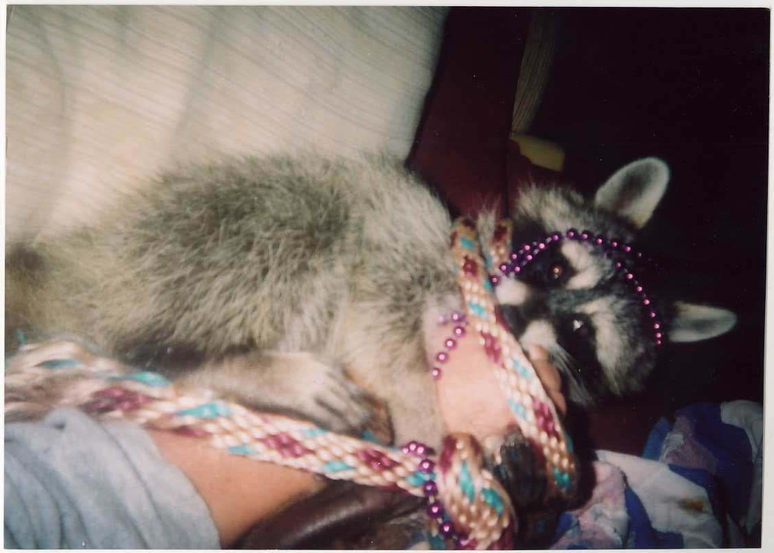 beadwhee
