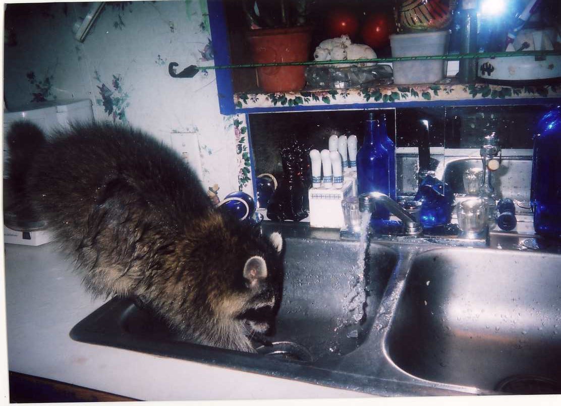 sinkwhee