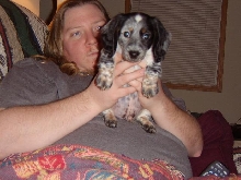 Our Dachshund Bosco