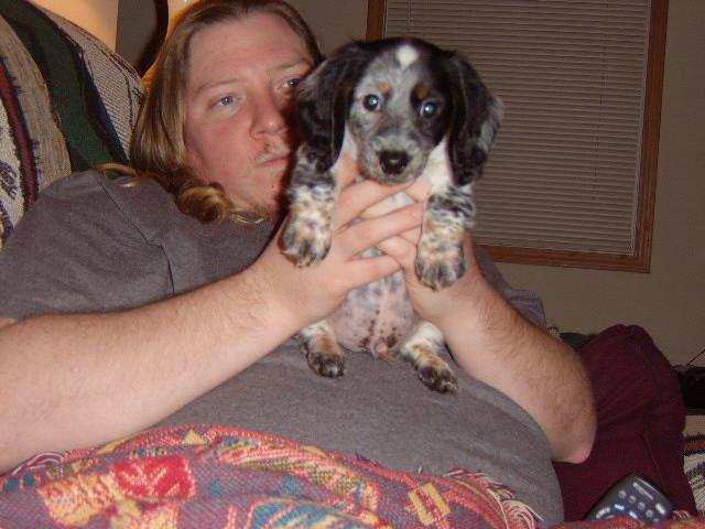 Our Dachshund Bosco