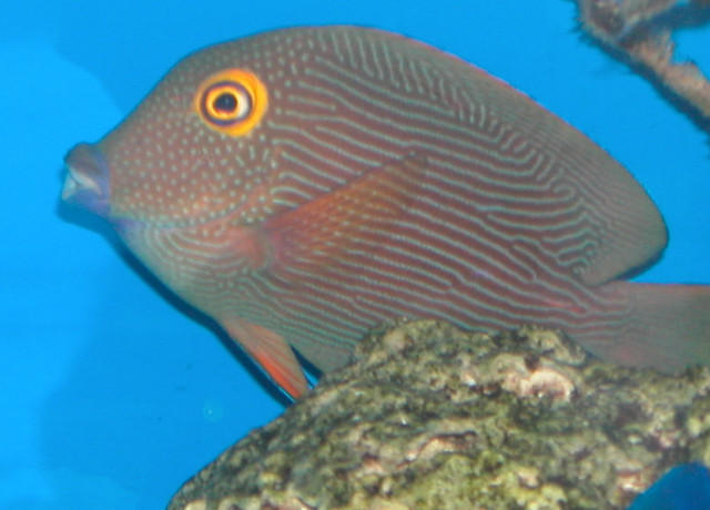 Saltwater Photos