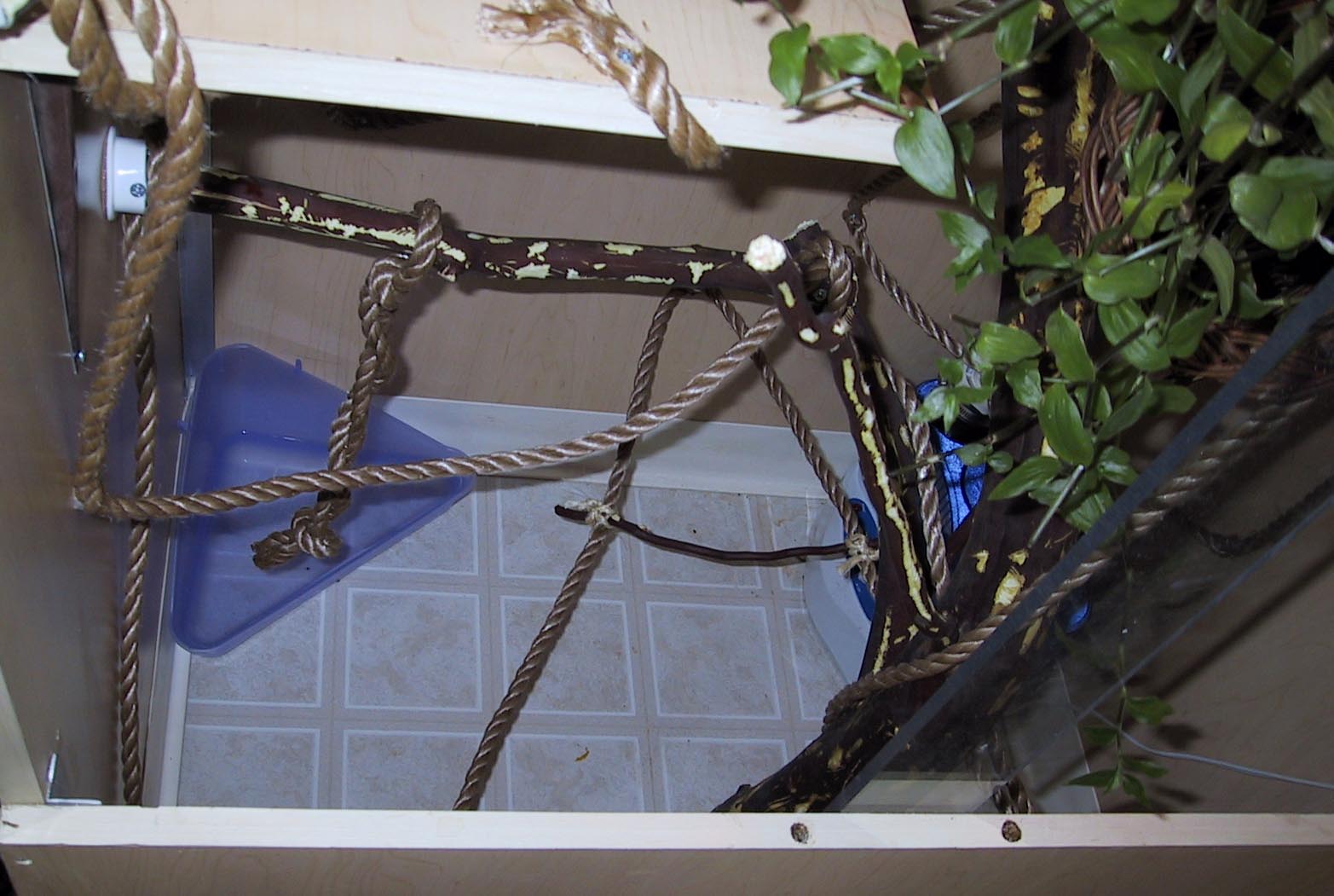 Cage floor