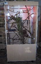 full cage pic